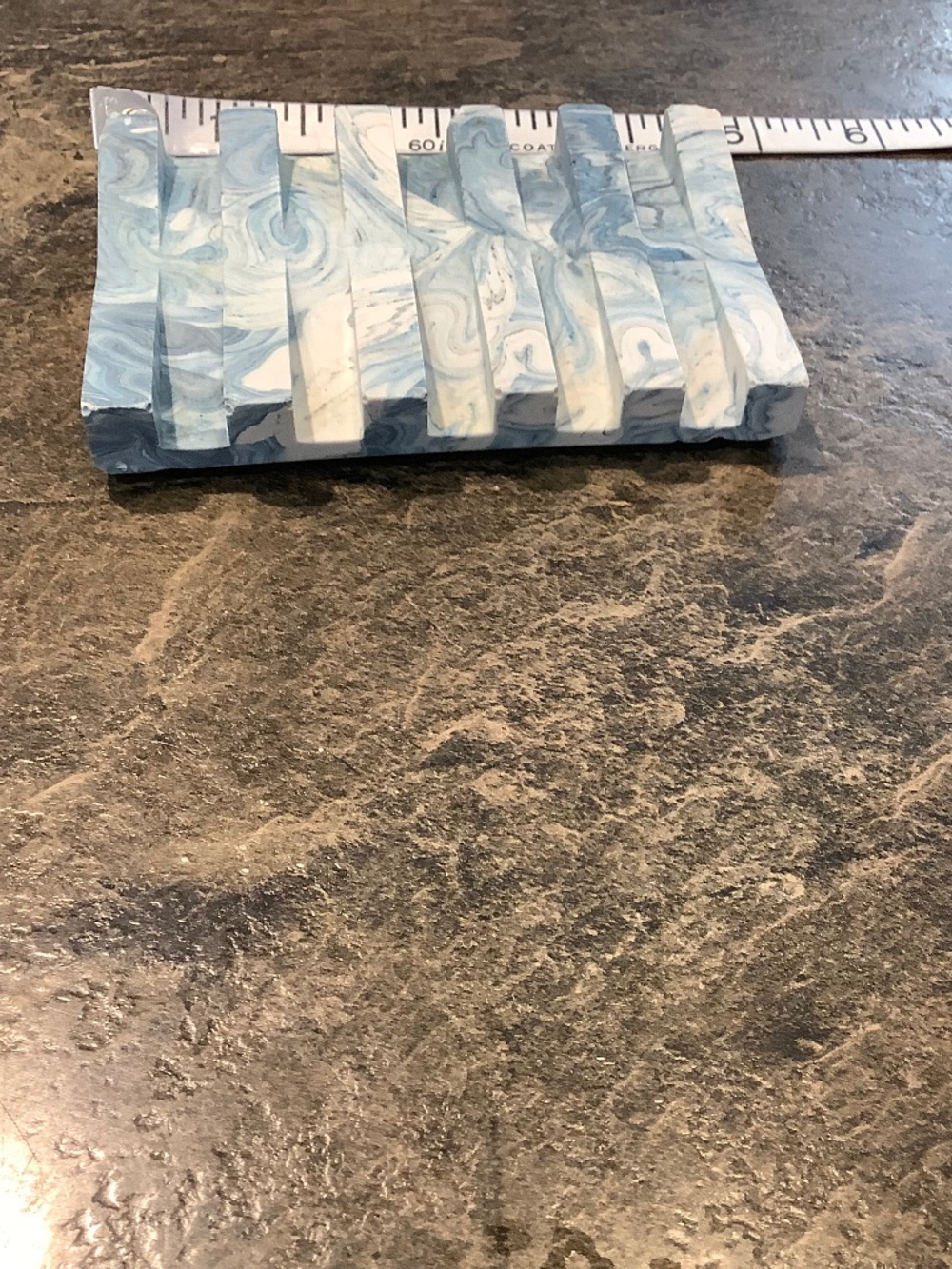 Raven song soap dish